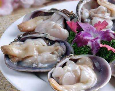 珍奇贝类海鲜紫石房蛤(又称天鹅蛋)