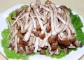 中华神菇茶树菇及其菜肴做法