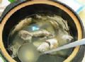 衡湖老鱼汤烹制方法及菜品实例